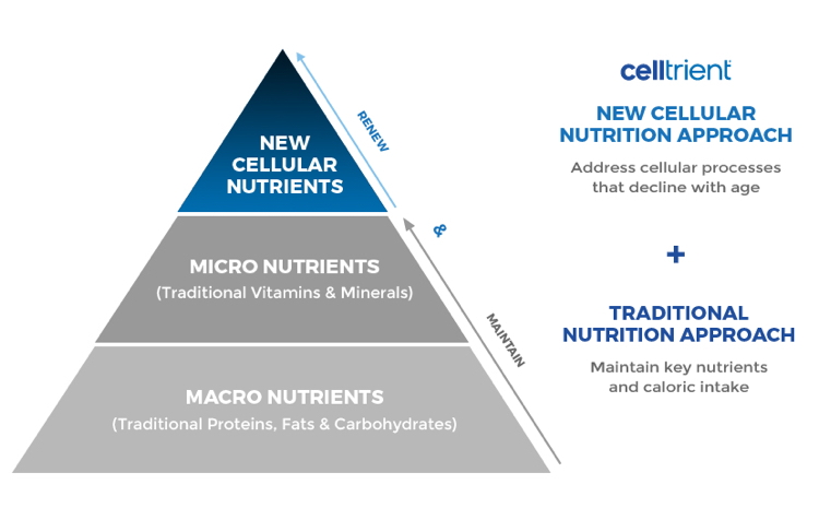 Pyramid of Cellular Nutrients