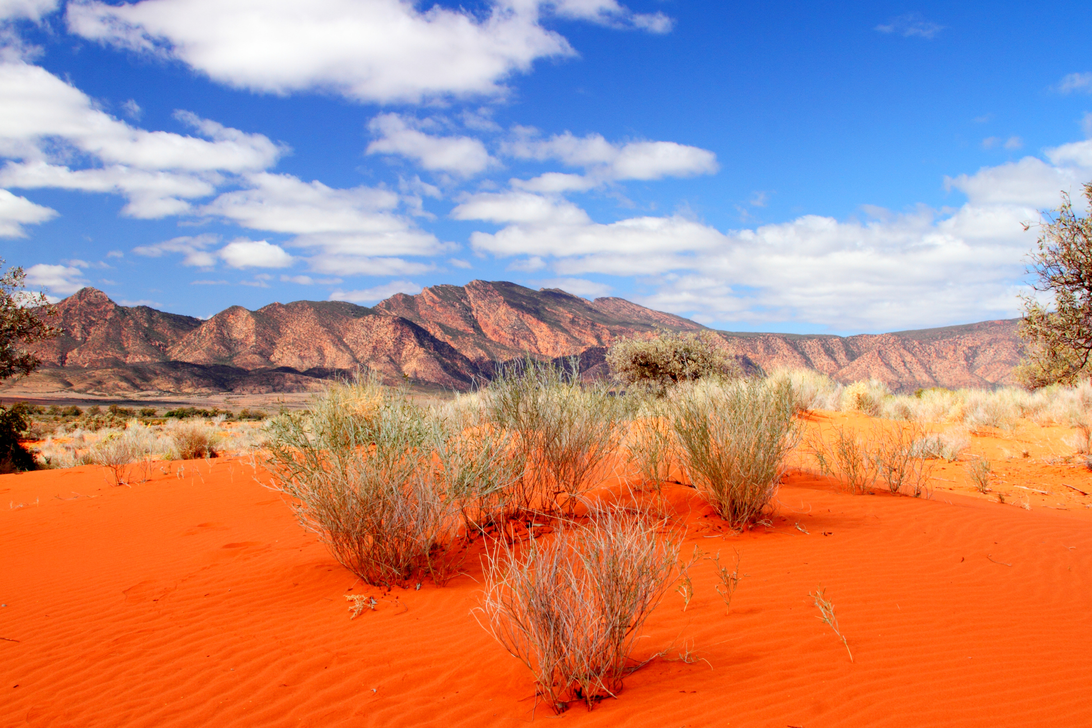 Austalian desert landscape