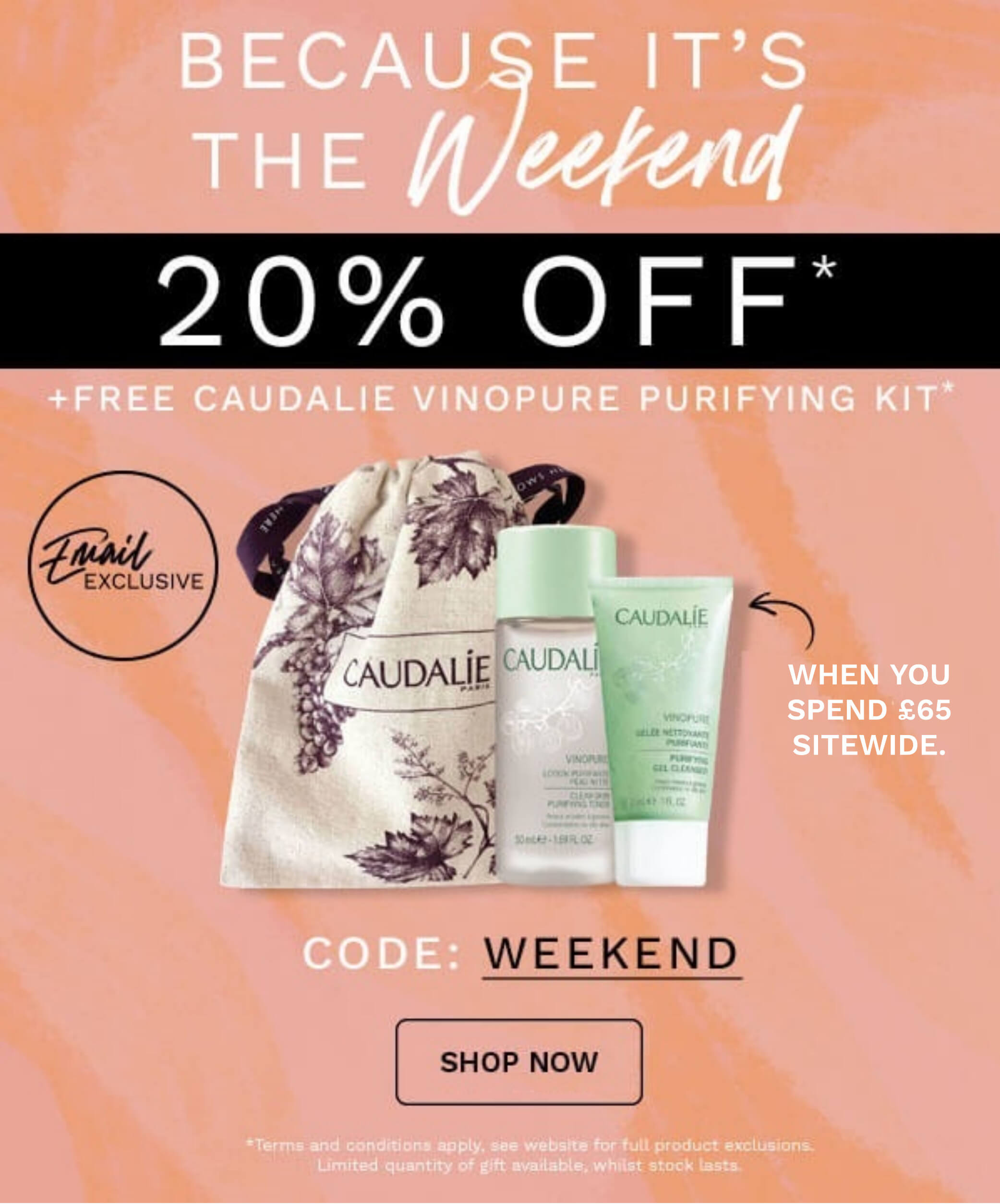 20 OFF PLUS FREE GIFT