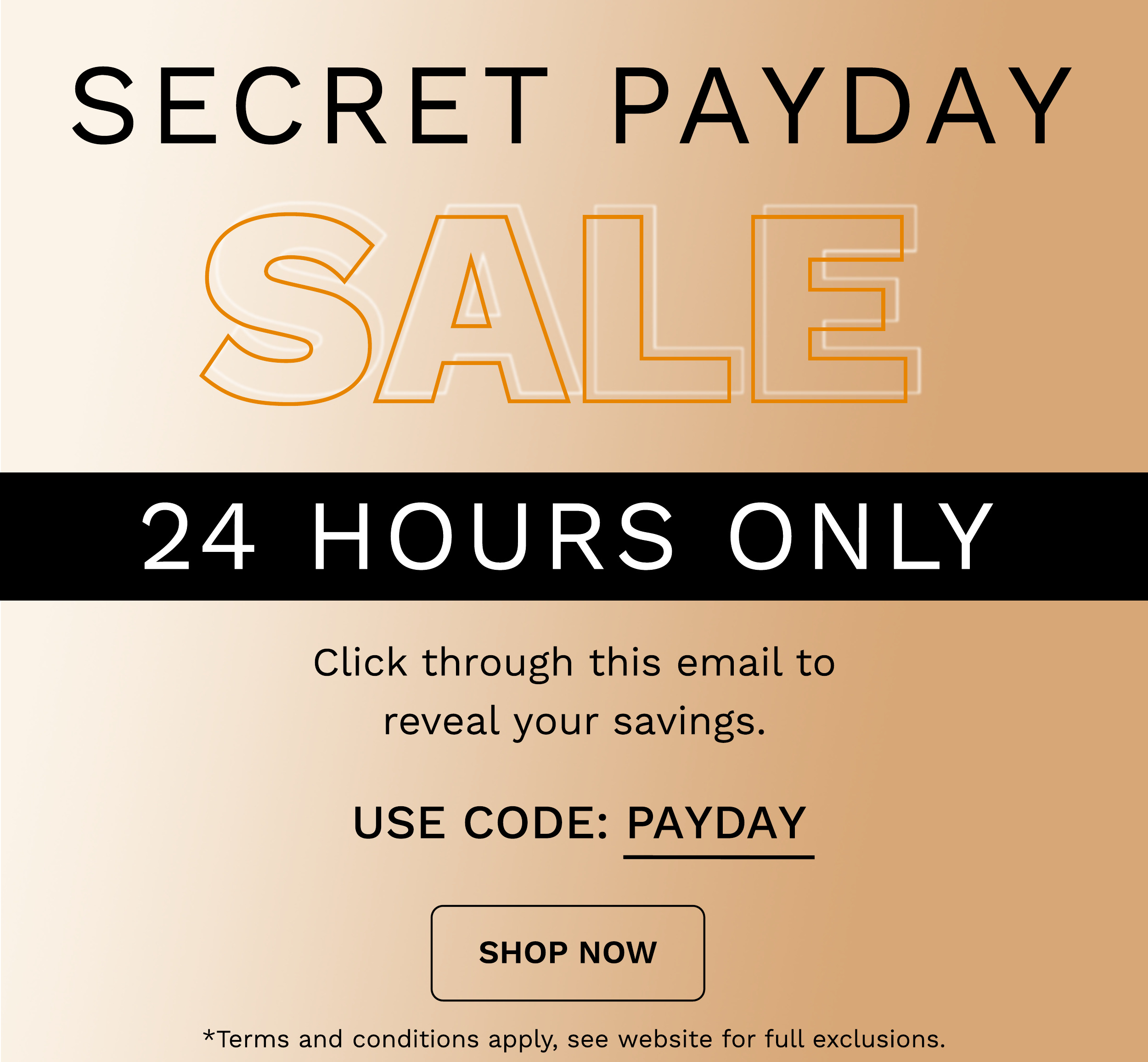 payday secret sale use code PAYDAY