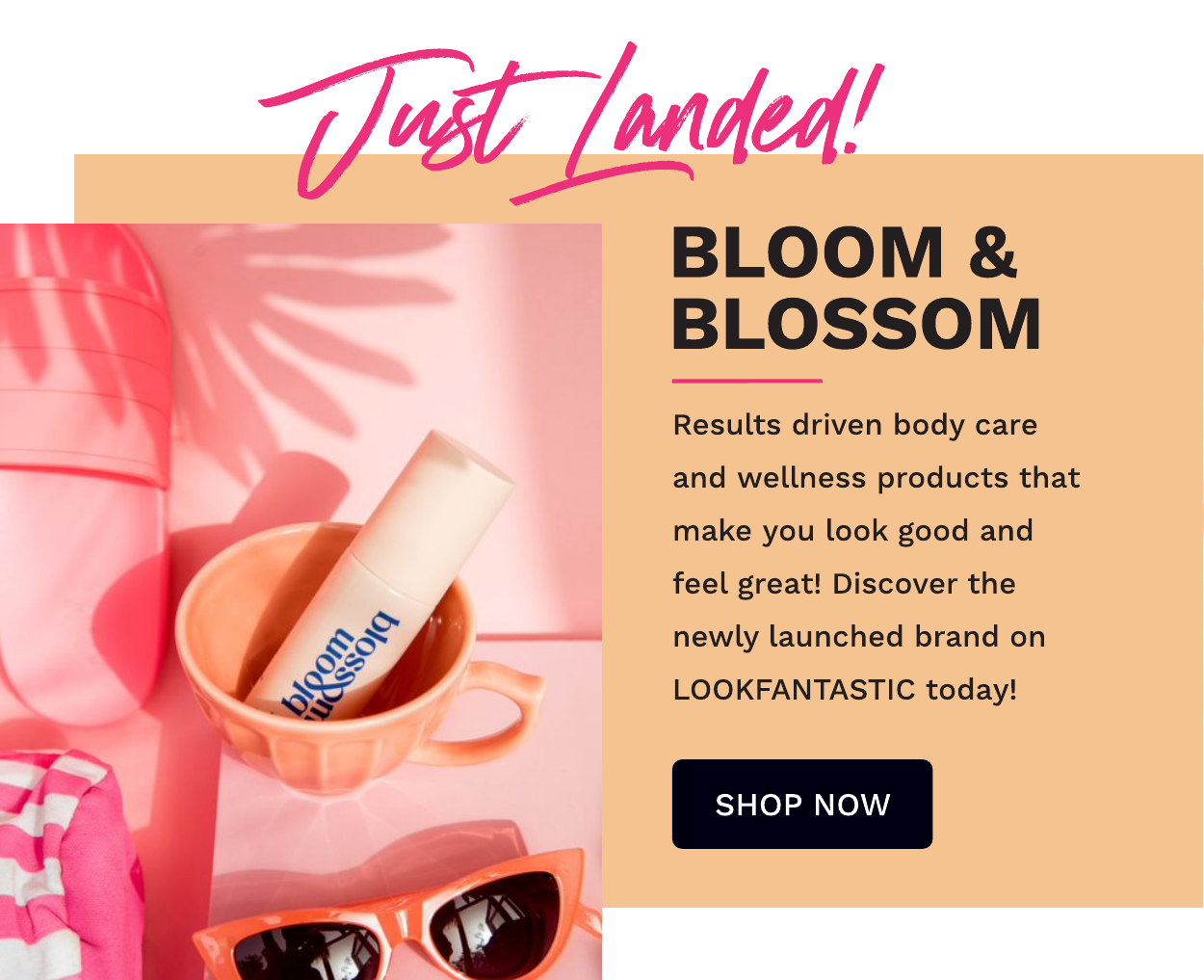 BLOOM AND BLOSSOM