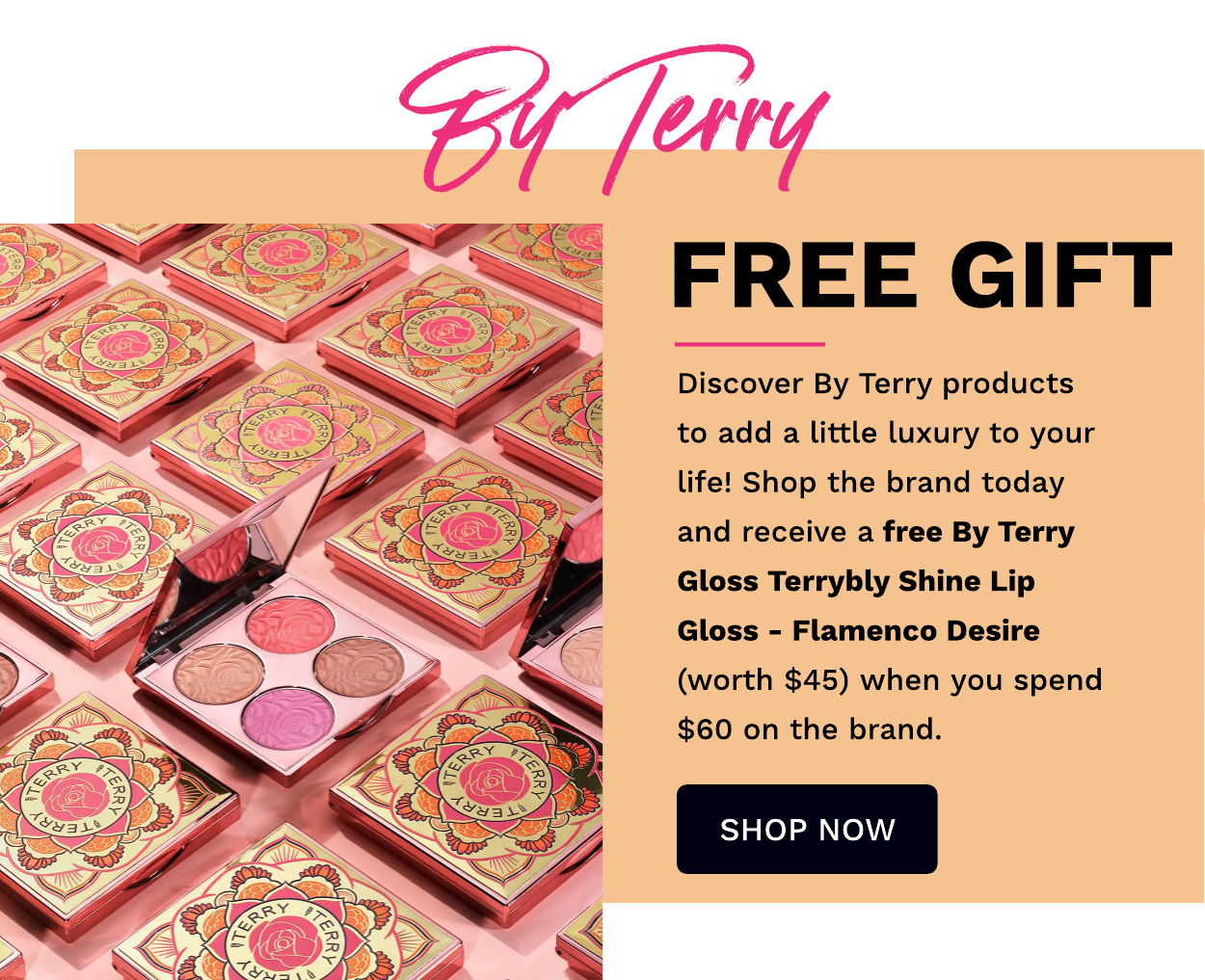 BY TERRY FREE GIFT